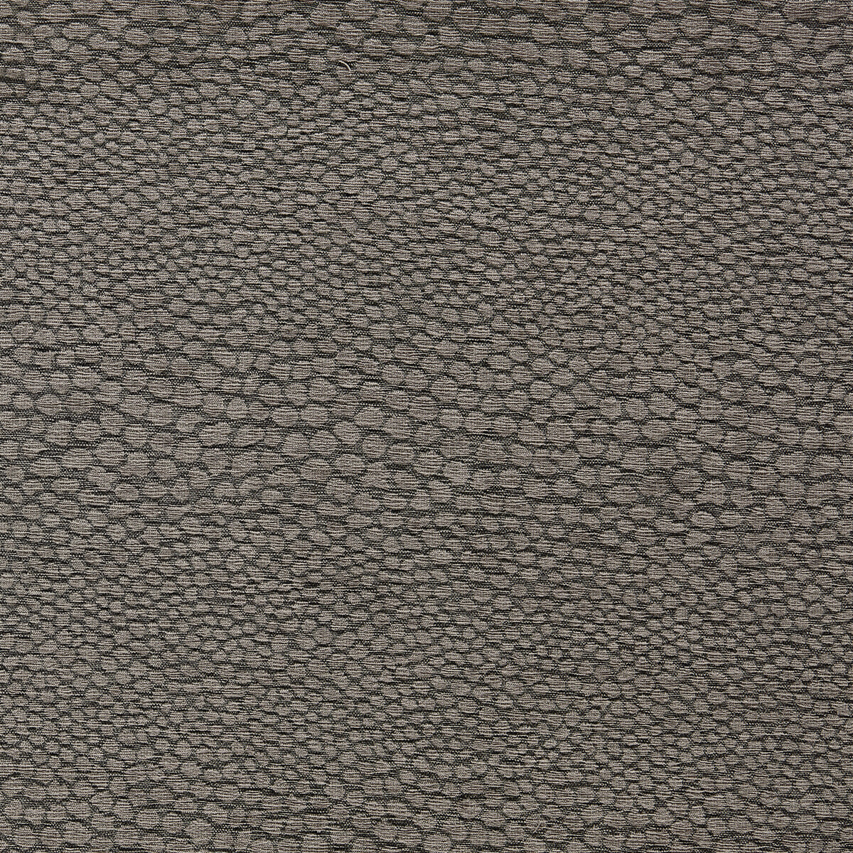 Castus F1788/03 CAC Espresso by   