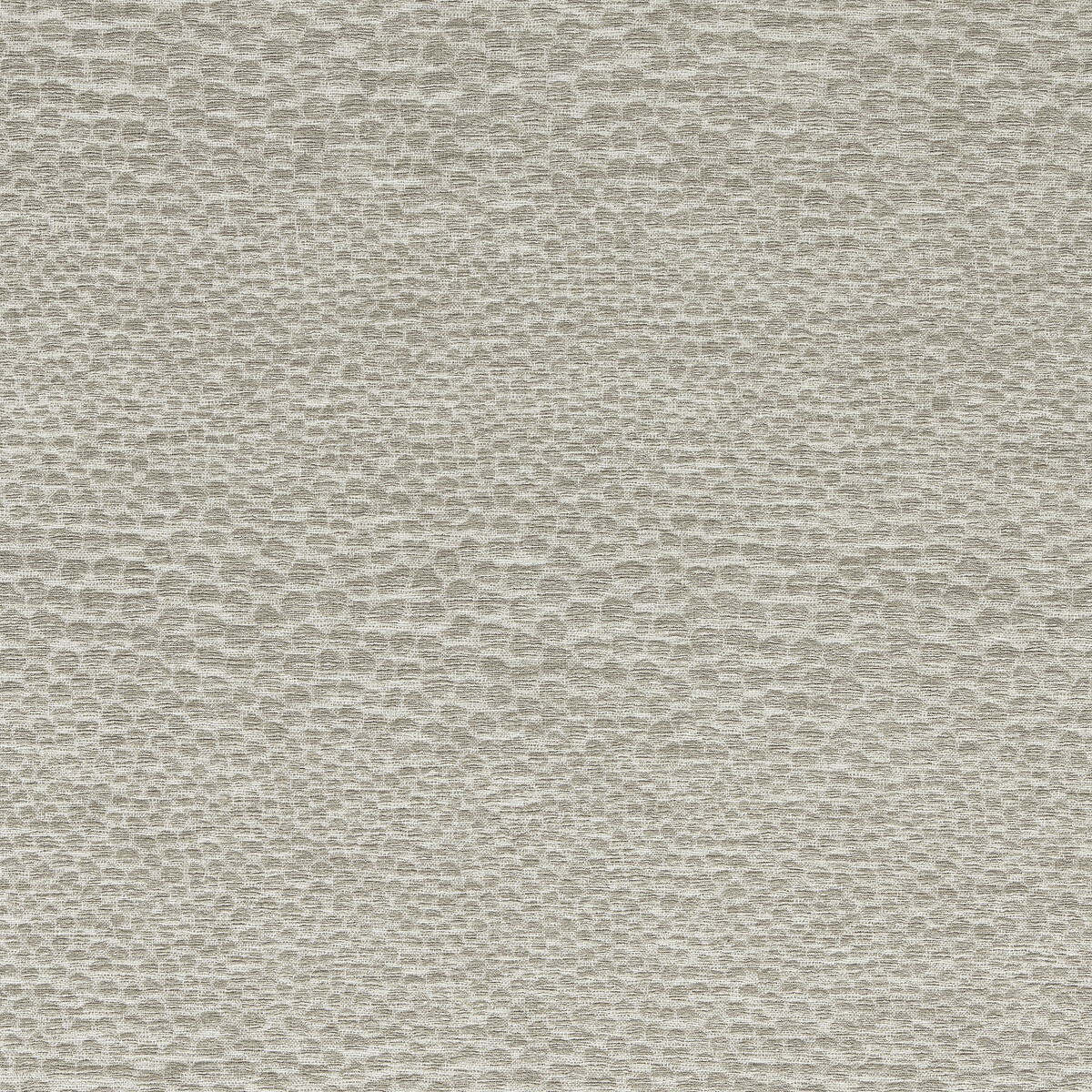 Castus F1788/09 CAC Pebble by   