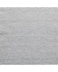 Castus F1788/01 CAC Dove by   