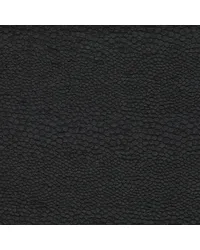 Castus F1788/02 CAC Ebony by   