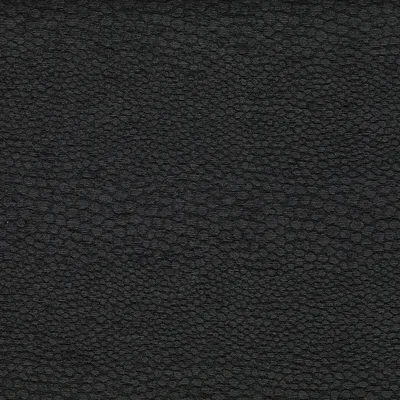 Clarke and Clarke CASTUS EBONY
