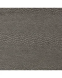 Castus F1788/03 CAC Espresso by   