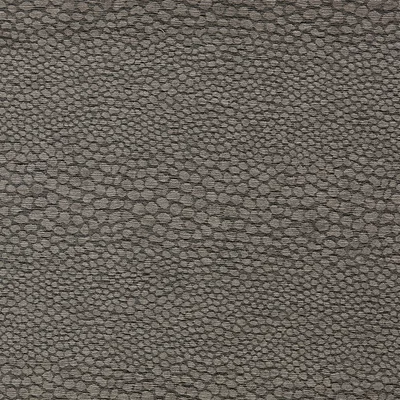 Clarke and Clarke CASTUS ESPRESSO