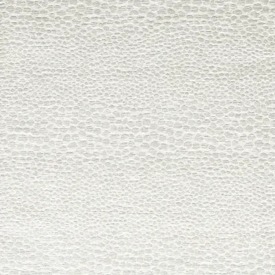 Clarke and Clarke CASTUS IVORY