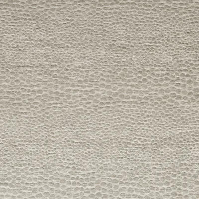 Clarke and Clarke CASTUS LINEN