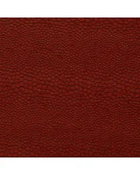Castus F1788/10 CAC Spice by   