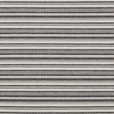 Clarke and Clarke INTEGER EBONY