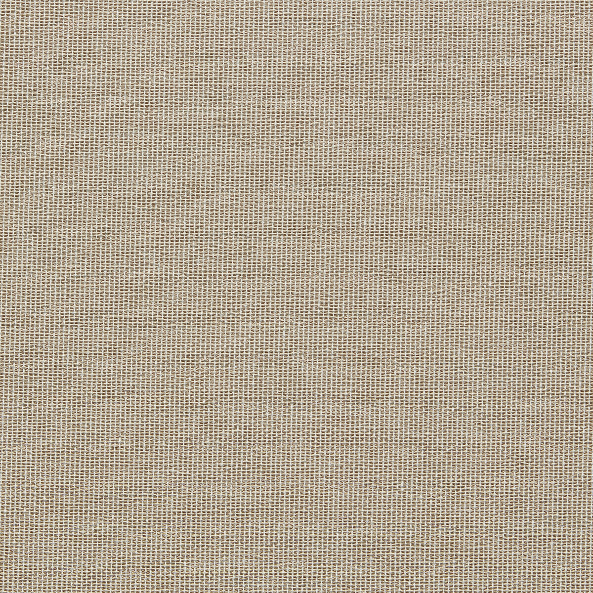 Pontus F1790/05 CAC Sahara by   