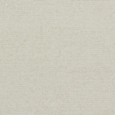 Clarke and Clarke PONTUS IVORY