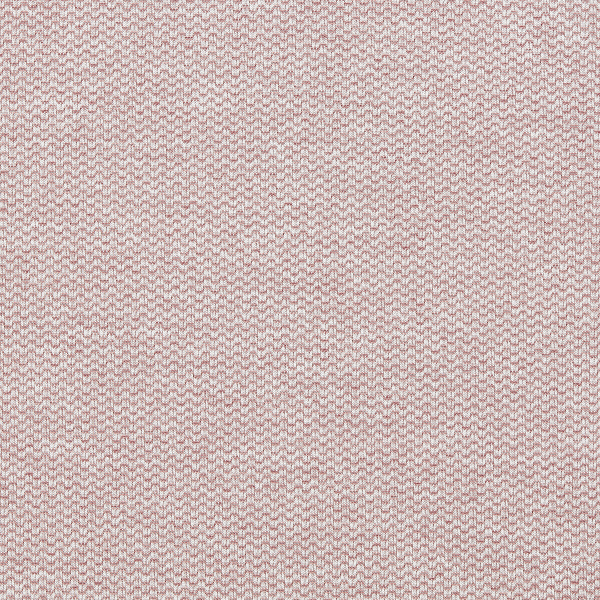 Tergo F1791/01 CAC Blush by   