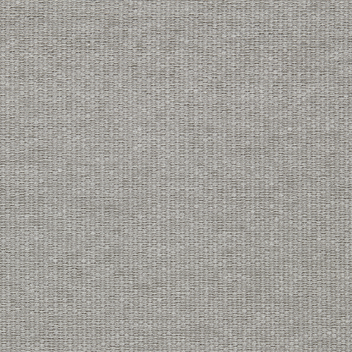 Tergo F1791/02 CAC Dove by   