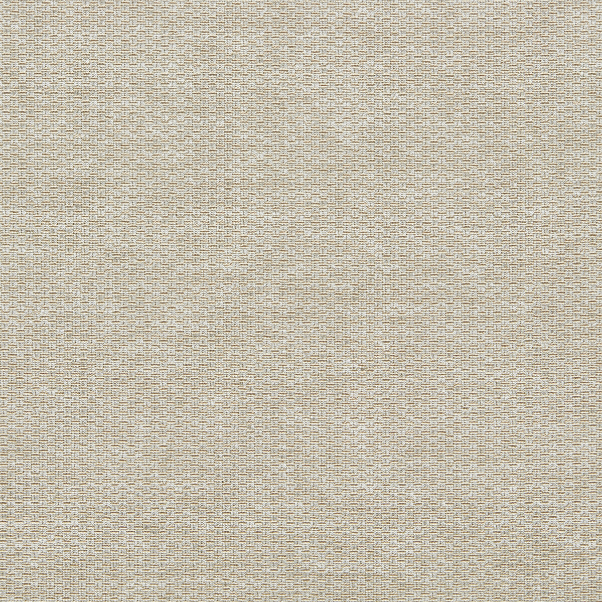 Tergo F1791/08 CAC Sahara by   