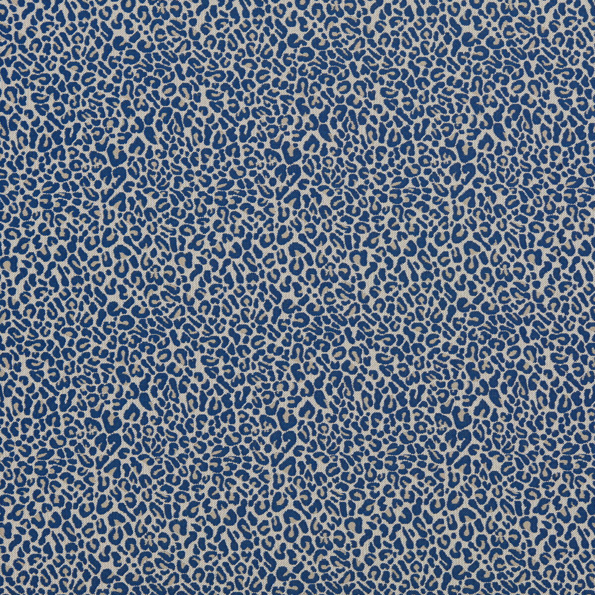 Arcata F1793/02 CAC Cobalt by   