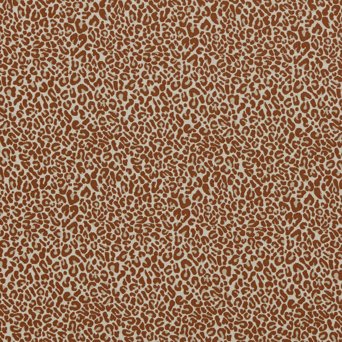 Arcata F1793/06 CAC Spice by   