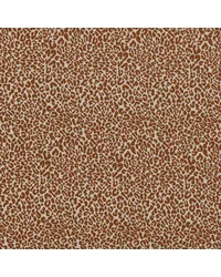Arcata F1793/06 CAC Spice by   
