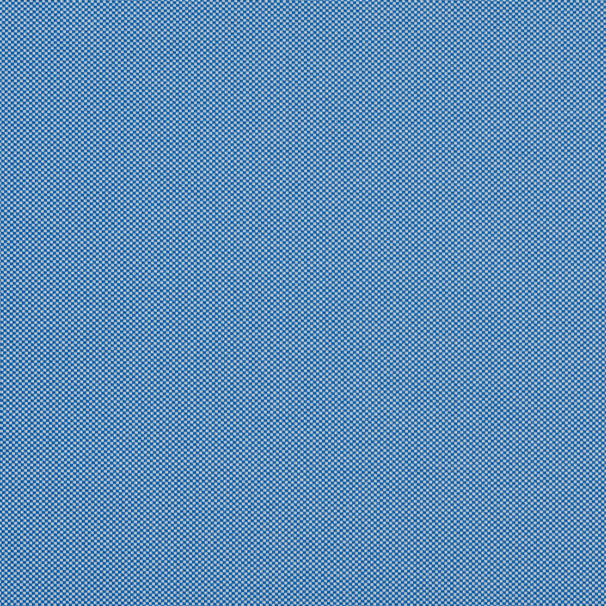 Cameron F1794/01 CAC Cobalt by   