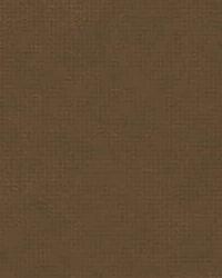 Faux Metal 4 Brass by  Kravet 