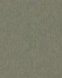 Faux Satin 21 Nickel by  Kravet 