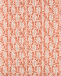 KRAVET BASICS FELLOE 12 by   