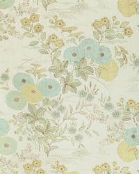 Fiorella 354 Leek by   