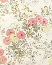 Fiorella 716 Coral by   