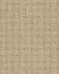 Fortune 16  by  Kravet 