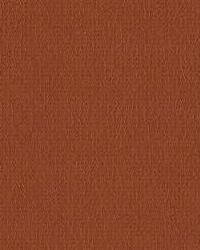 Fortune 24  by  Kravet 