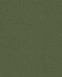 Fortune 30  by  Kravet 