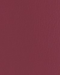 Forza 110 Mulberry by   