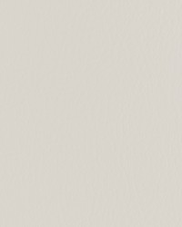 Forza 1101 Limestone by   