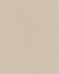 Forza 1116 Au Lait by   