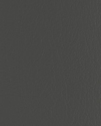 Forza 1121 Thunder by   