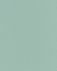 Forza 130 Spearmint by   