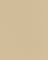 Forza 16 Sandstone by   