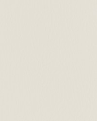 Forza 1601 Parchment by   