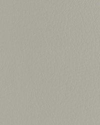 Forza 2111 Tundra by   