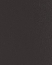 Forza 2121 Stallion by   