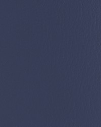 Forza 50 Midnight by   