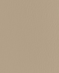 Forza 611 Fieldstone by   