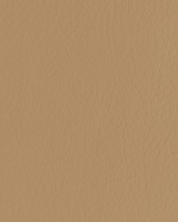 Forza 6116 Caramel by   