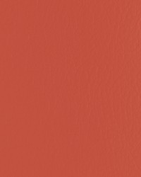 Forza 912 Persimmon by   