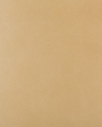 KRAVET DESIGN FRANKEL 16 by  Kravet 