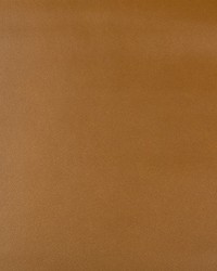 KRAVET DESIGN FRANKEL 624 by  Kravet 