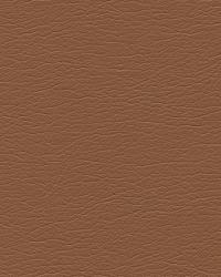 Misc:: GATO 2424  by  Kravet 