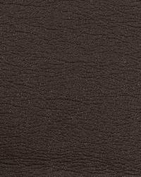 Misc:: GATO 6666  by  Kravet 