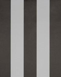 MILAN GDT4856 004 ANTRACITA by  Kravet Wallcovering 