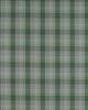 Kravet PRECIADOS VERDE