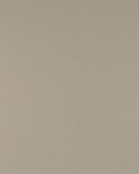 Salina GDT5318 008 Piedra by  Europatex 