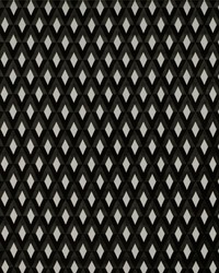 San Piero GDT5342 001 Blanco/onyx by  Europatex 