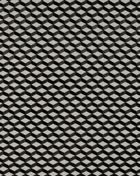 Montalcino GDT5344 001 Blanco/onyx by  Europatex 